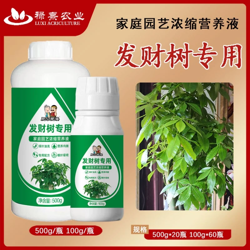 发财树专用肥料浓缩营养液家用绿叶植物盆栽养花防黄叶通用液体肥