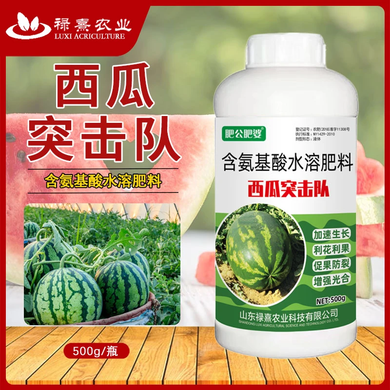西瓜突击队西瓜专用肥利花利防裂果补充营养液体肥生长农业产品