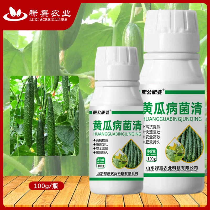 肥公肥婆黄瓜病菌清黄瓜专用叶面肥黄瓜专用肥料白粉霜霉炭疽