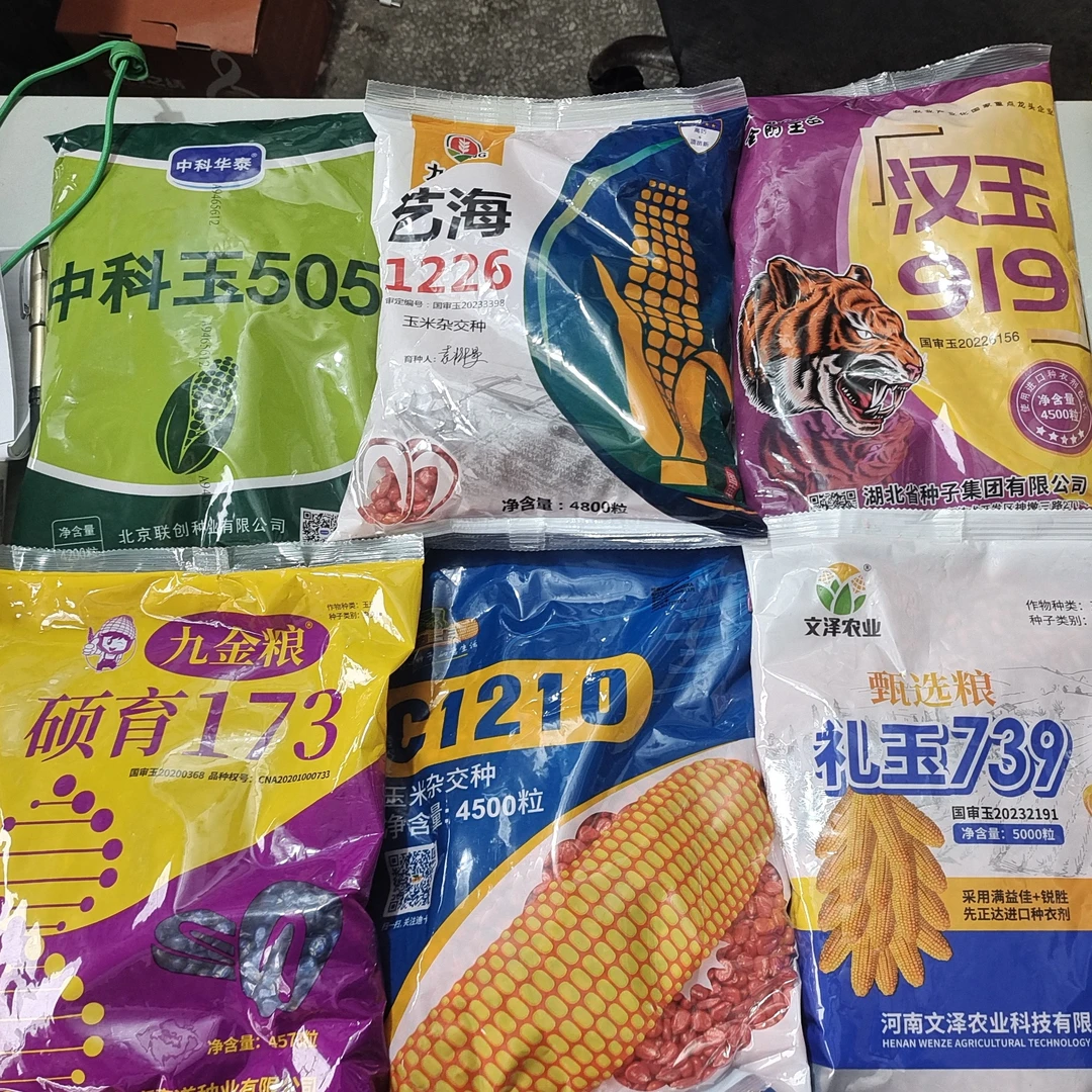 多个玉米品种可供选择