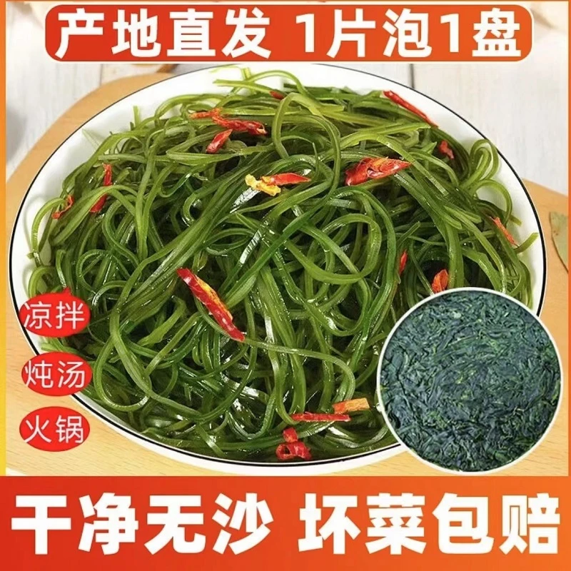 烘干压缩海带丝独立包装圆饼压缩海带干货泡发免洗凉拌