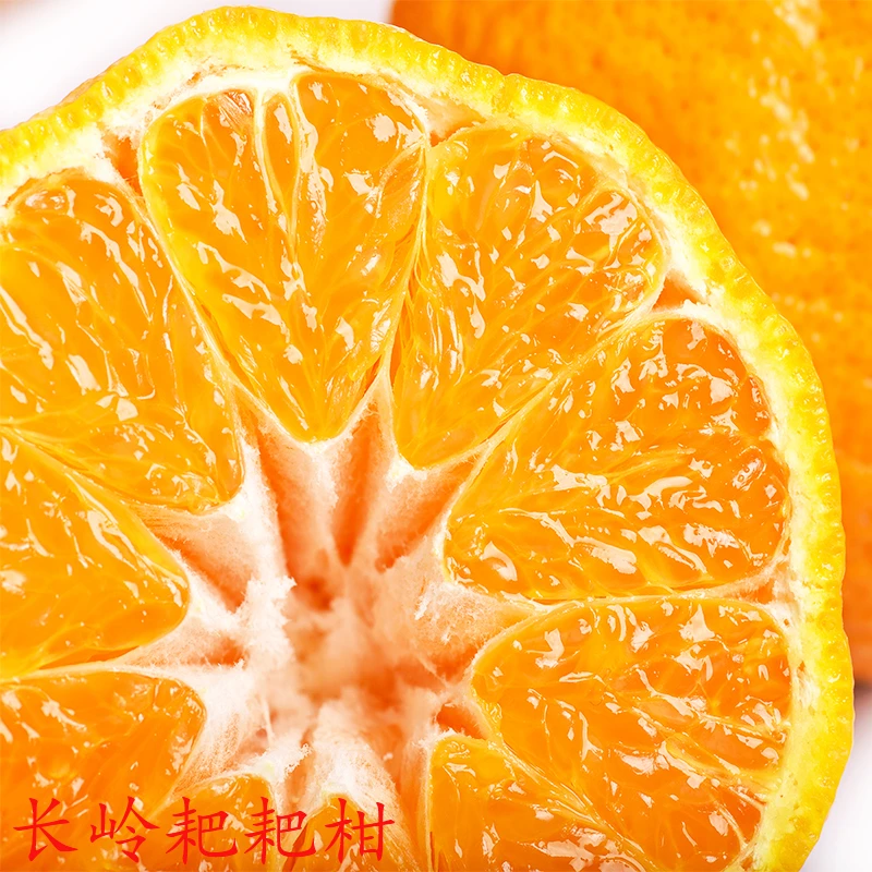 四川春见耙耙柑当季新鲜水果橘子甘甜可口现摘现发果粒饱满柑橘