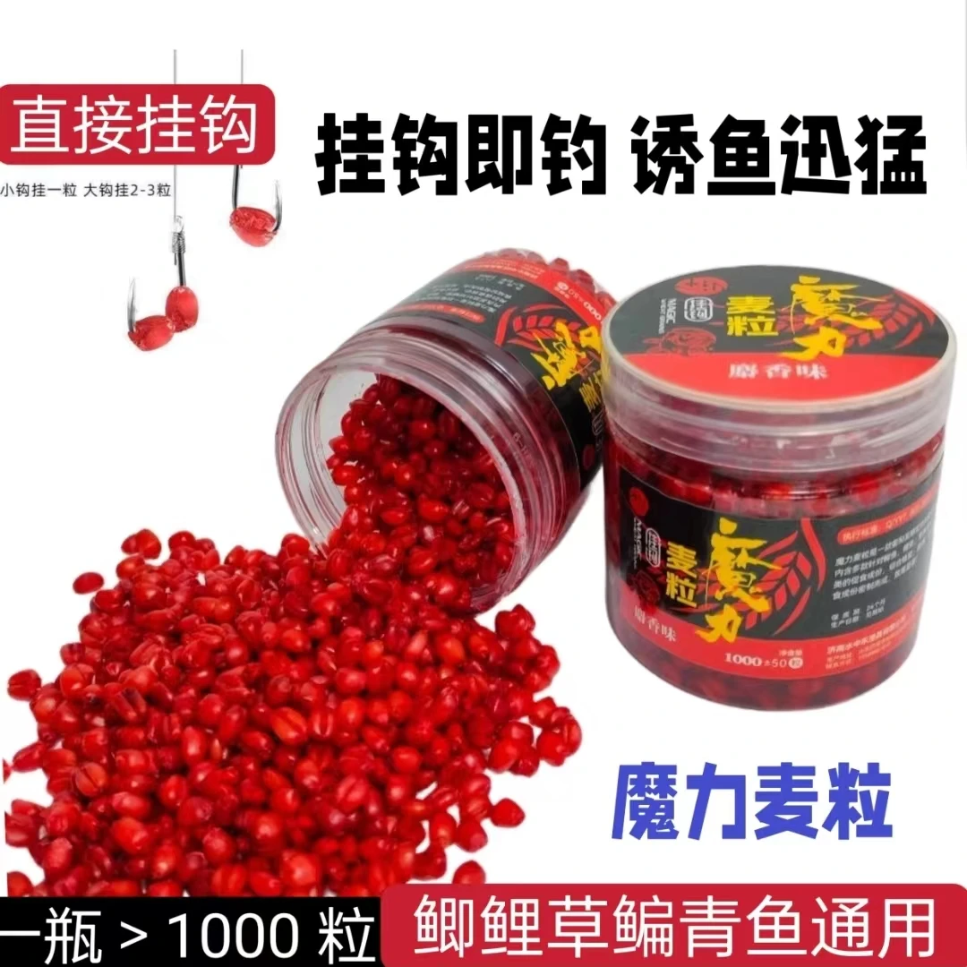 钓鱼谷麦粒诱食挂钩魔力血麦粒野钓鲫鱼鲤鱼草鱼鳊鱼麦子饵料钓饵
