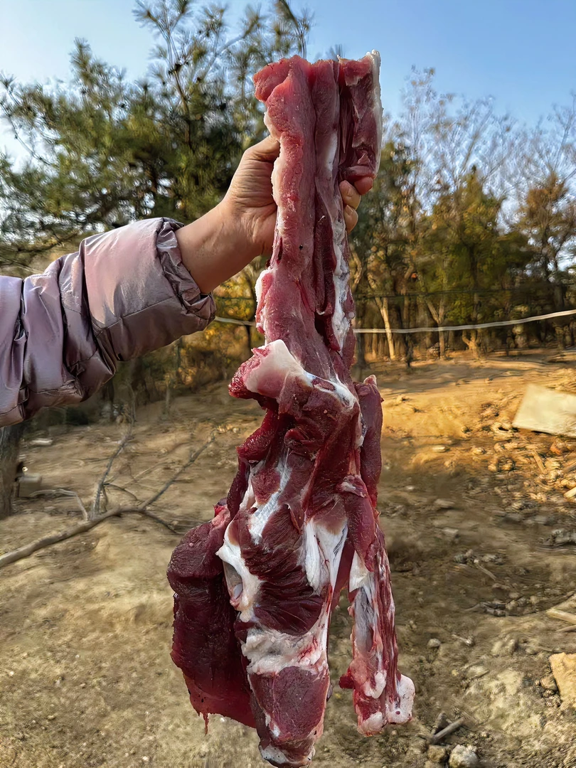 高山放养黑土猪脊骨5斤顺丰冷链发货