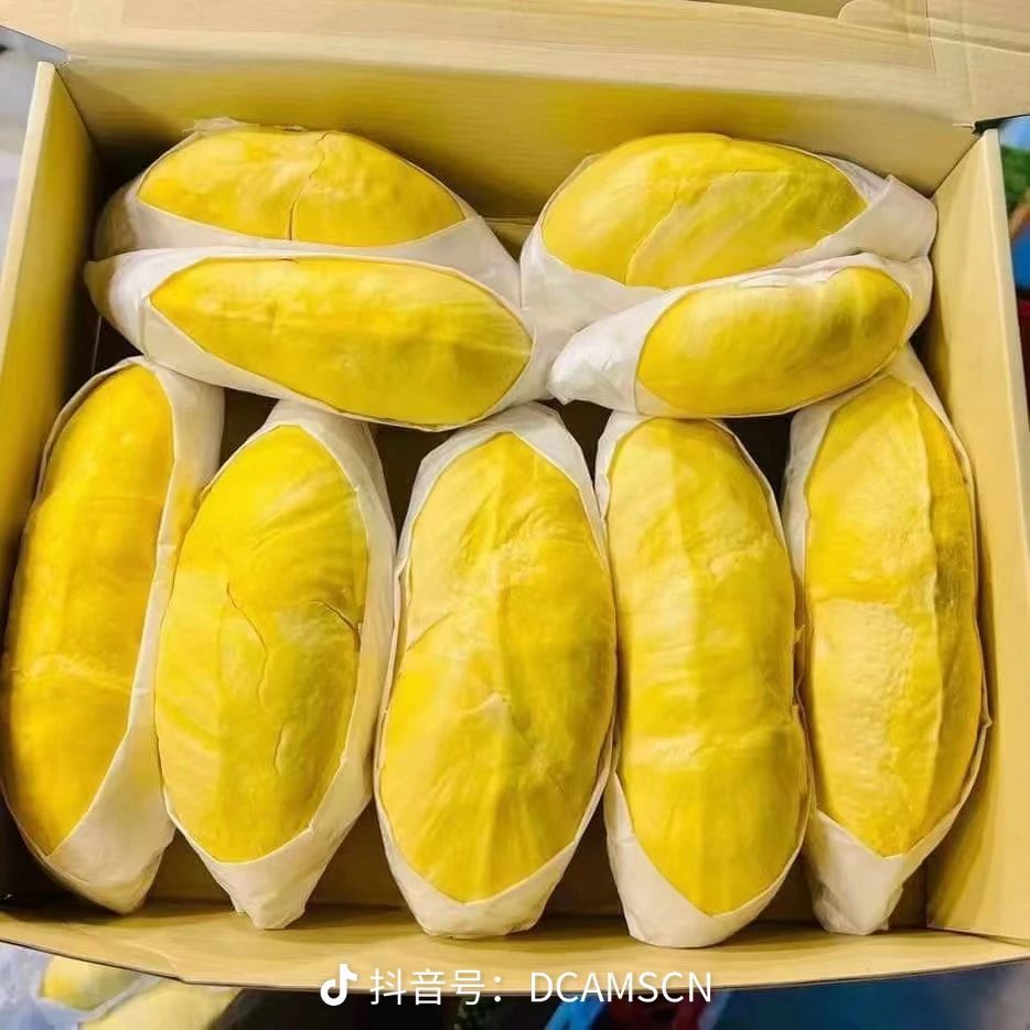 榴莲一果一拍