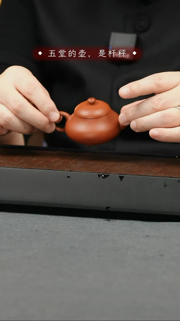 【闪购商品】紫砂茶壶五堂  观某音