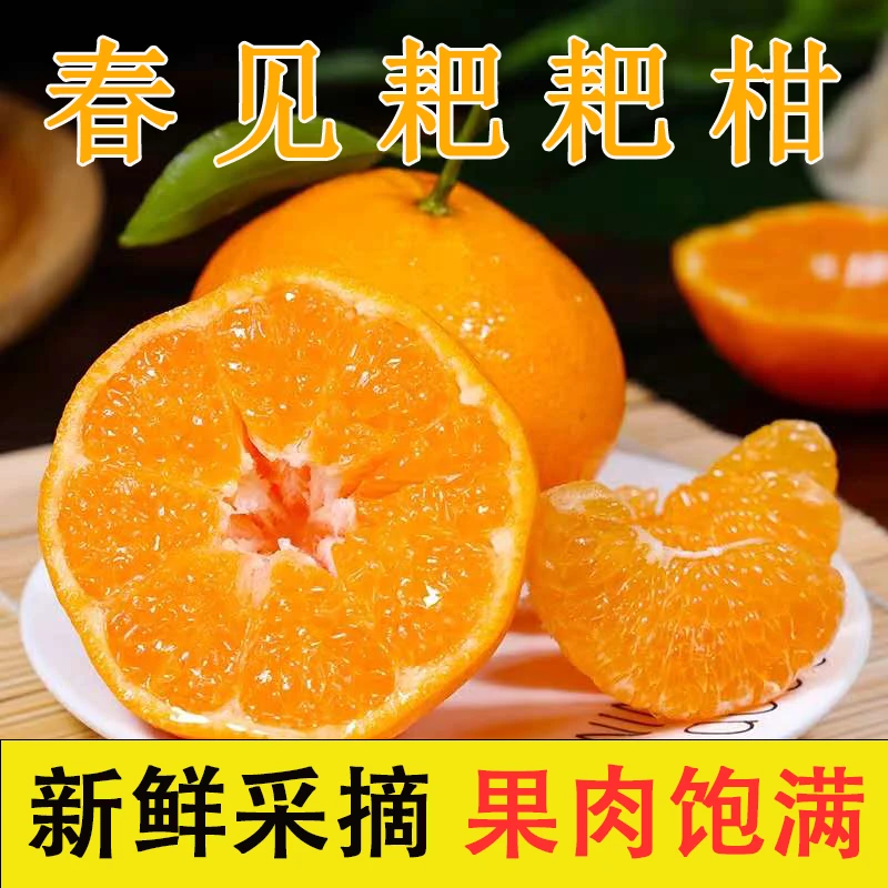 四川春见耙耙柑粑粑柑当季新鲜水果2/4.5/8斤成熟脆嫩清甜多汁