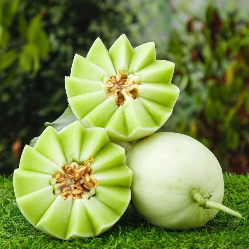 冰淇淋瓜玉菇甜瓜蜜甜正宗甜香瓜头茬绿宝瓜五斤特大小蜜罐小白瓜