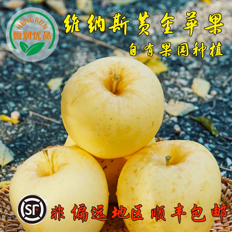 恒润优品正宗维纳斯黄金苹果烟台产区发货香脆甜无酸雀斑苹果美味