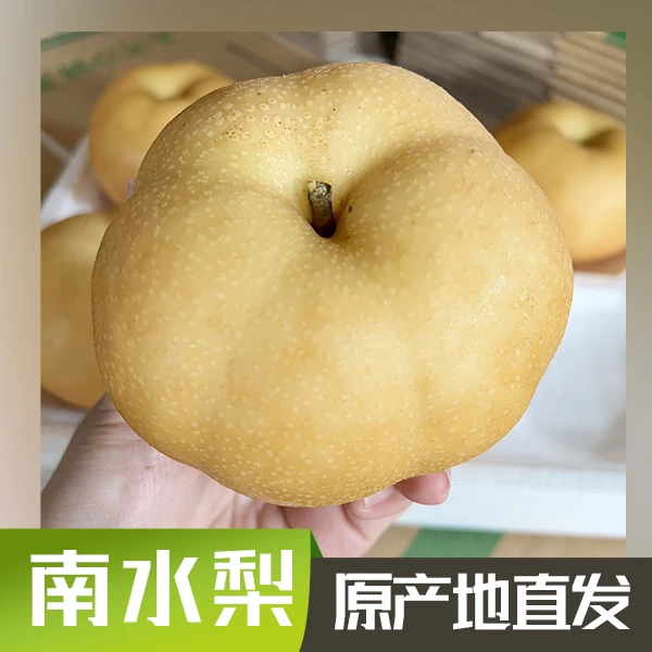 恒润优品正宗南水梨山东烟台莱阳产区香脆甜多汁秋冬新鲜应季水果