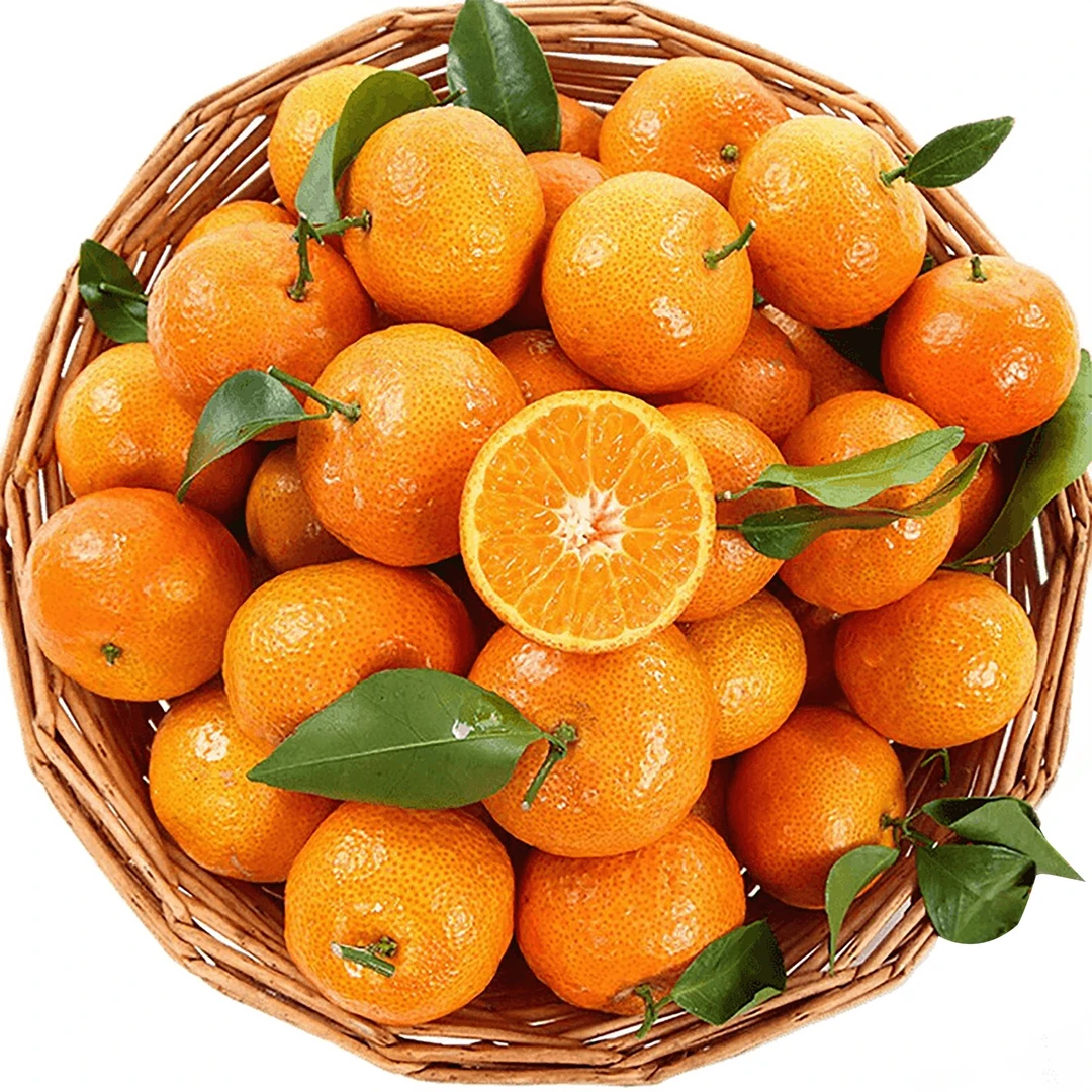 蜜橘240克-260克/份