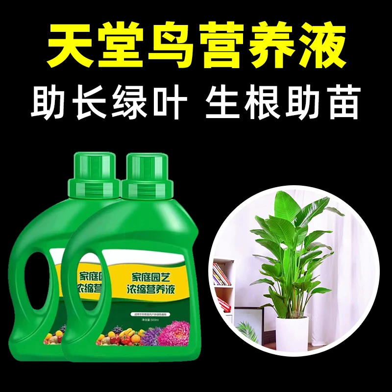 天堂鸟营养液阳台盆栽水培土培天堂鸟肥料植物营养液专治黄叶烂根