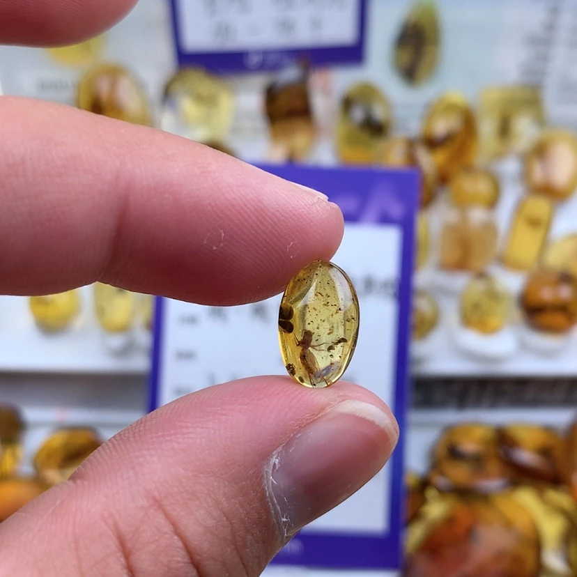 【闪购商品】琥珀裸石未镶嵌
