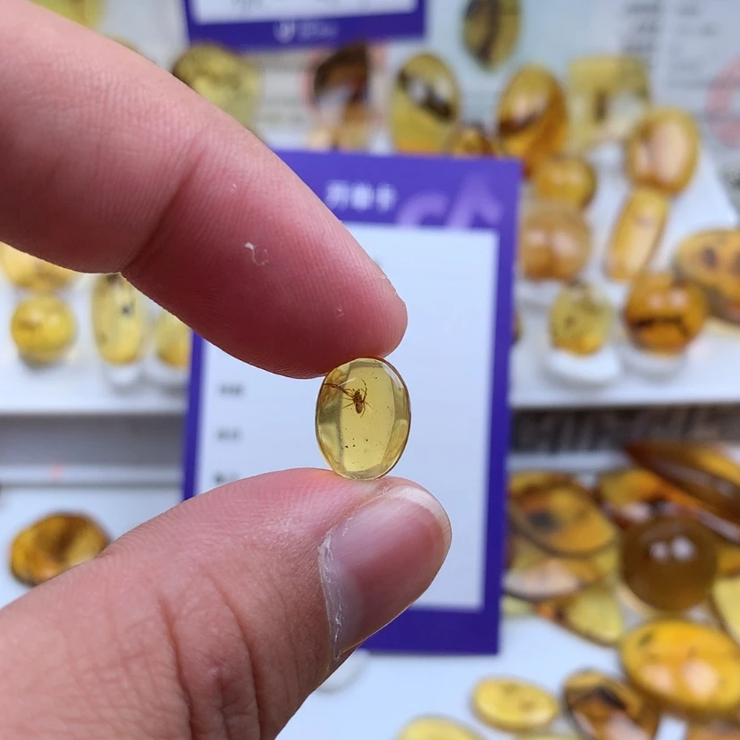 【闪购商品】琥珀裸石未镶嵌
