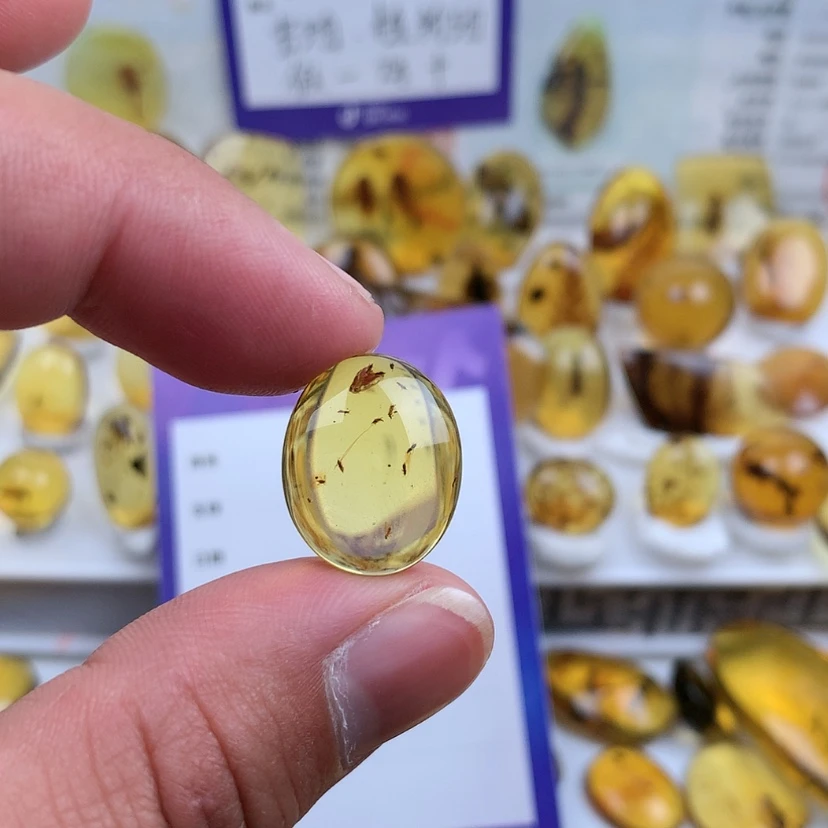 【闪购商品】琥珀裸石未镶嵌╰****?