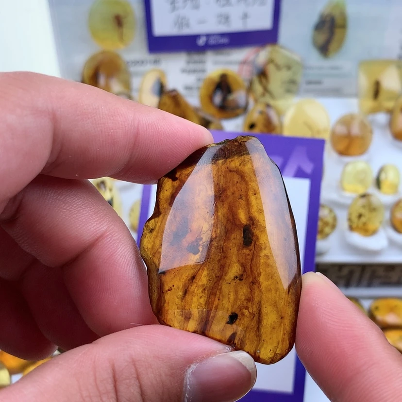 【闪购商品】琥珀裸石未镶嵌