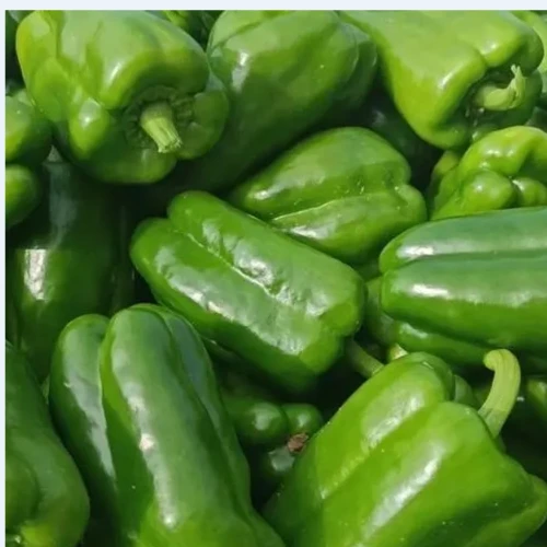 【香橙源优选】青椒 约1斤 辣椒品类（蔬菜）