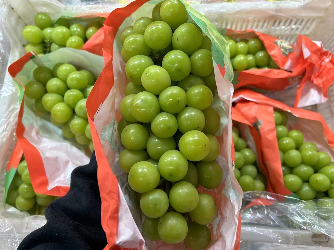 阳光玫瑰 晴王(水果)
