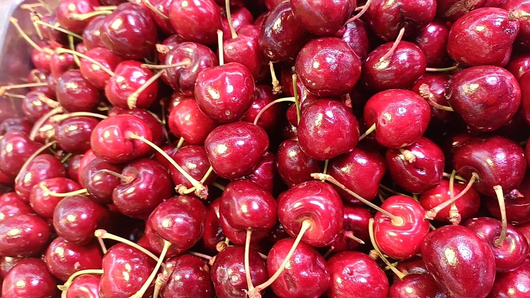 【香橙源优选】单J车厘子 1斤（水果)