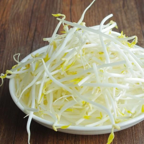 【香橙源优选】绿豆芽1斤（蔬菜）