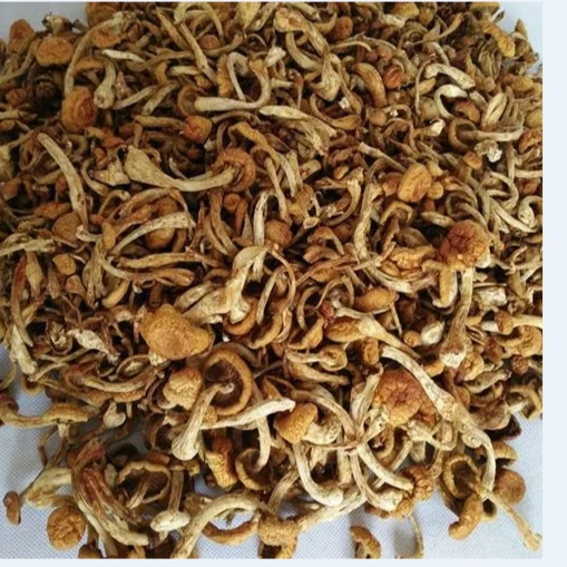 【香橙源优选】滑子蘑 100g 干货（蔬菜）
