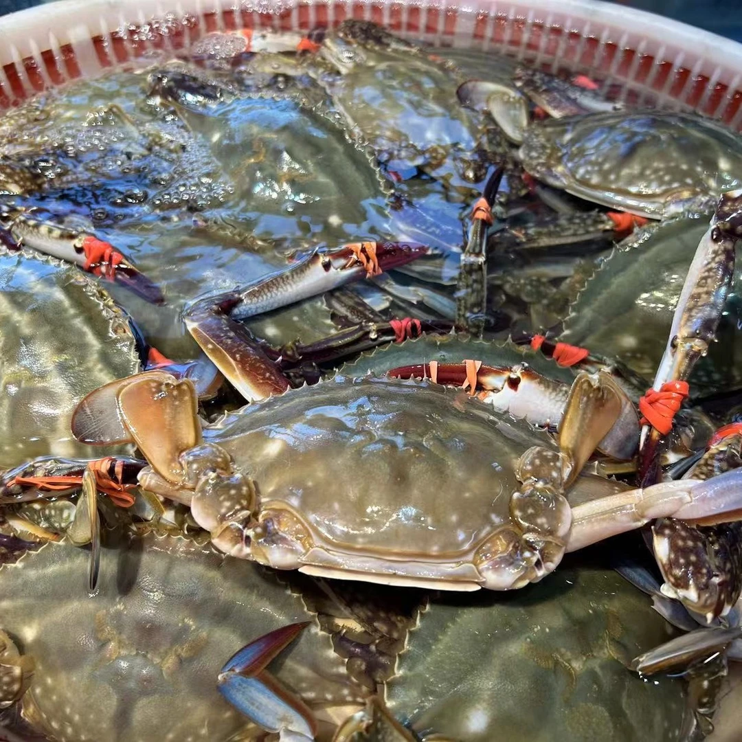大飞蟹 2斤左右 保鲜不保活（海鲜）