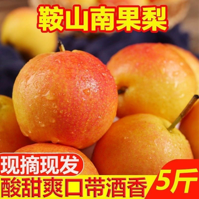 【今年新果】辽宁鞍山特产南果梨香甜多汁新鲜水果