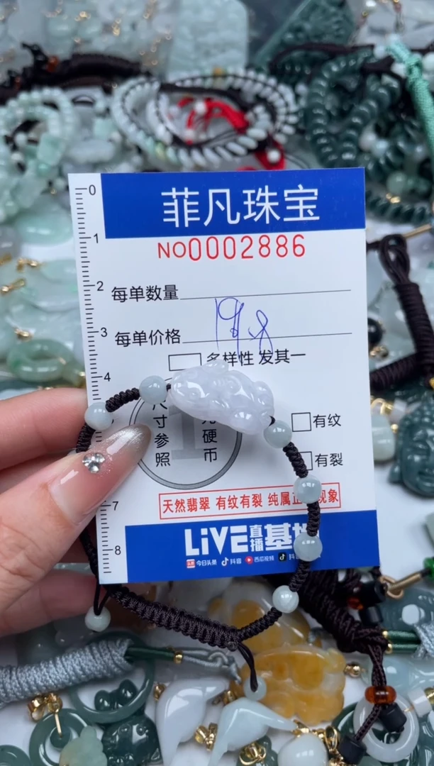 【闪购商品】翡翠颈饰未镶嵌000...2886