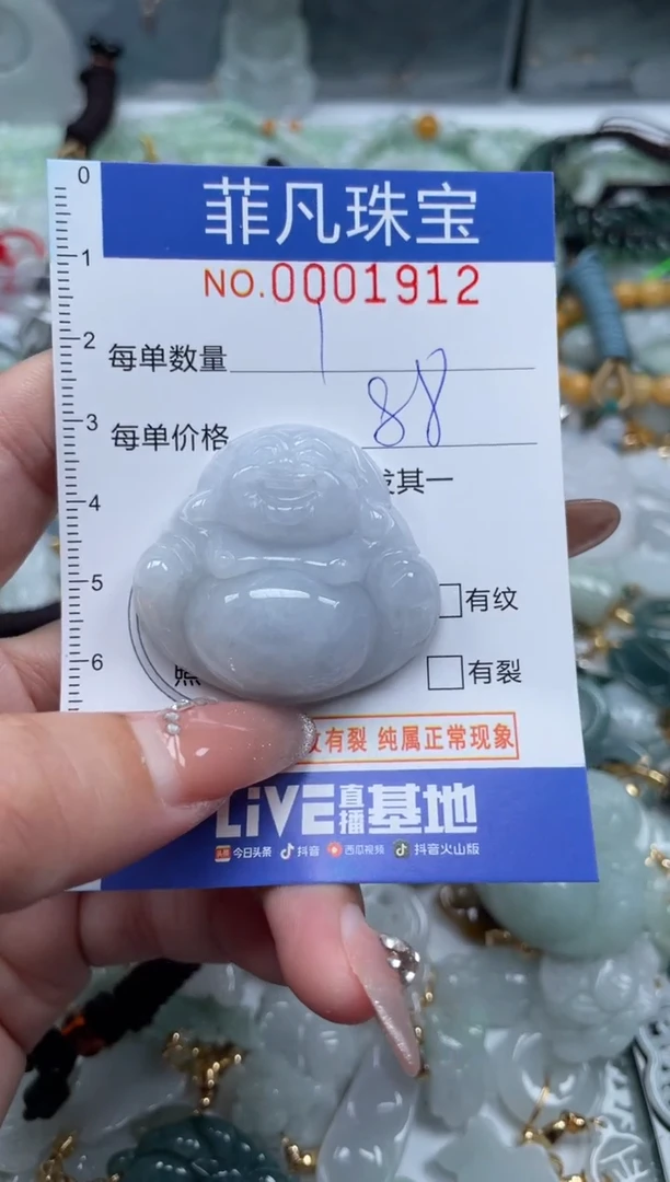 【闪购商品】翡翠颈饰未镶嵌00..1912