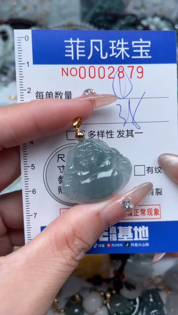 【闪购商品】翡翠颈饰未镶嵌000...2879