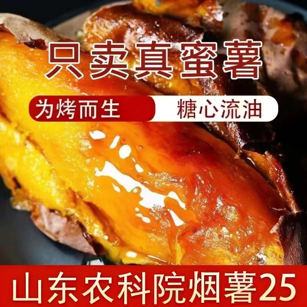 【5斤装真烟薯25号】（坏果包赔）山东威海农科院烟薯25号烤地瓜蜜薯A