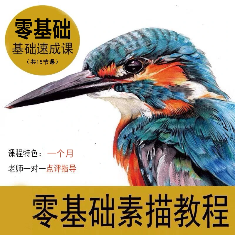 入门级体验课零基础精品素描课