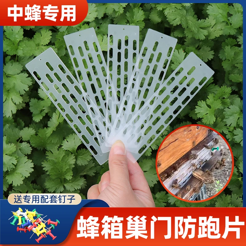蜂王防逃片中蜂塑料防蜂王飞逃蜂箱巢门片防盗蜂隔王片养蜂箱配件