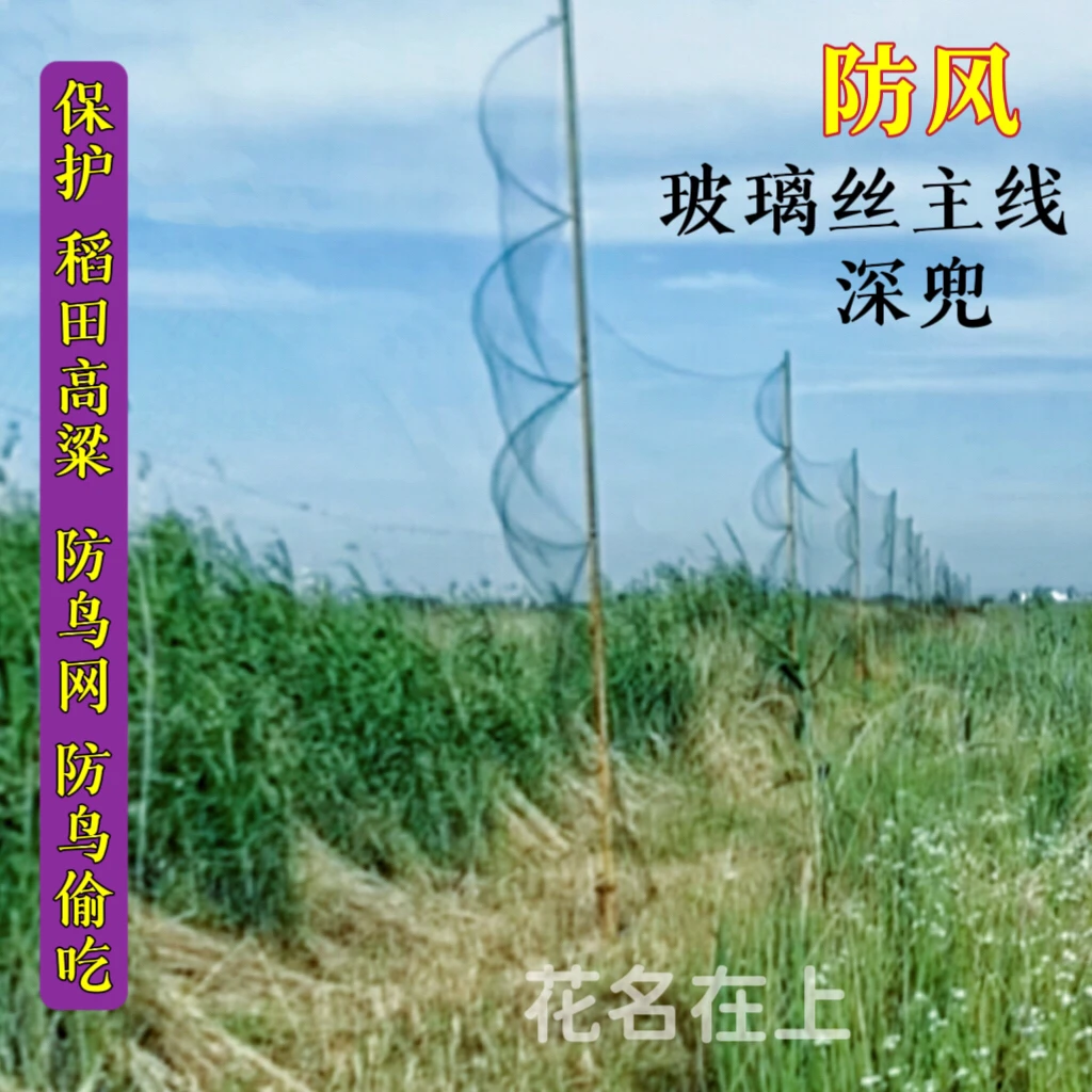 防鸟网玻璃丝黑胶丝拦麻鸽子包围网防鸡户外养殖场地围网菜地园林