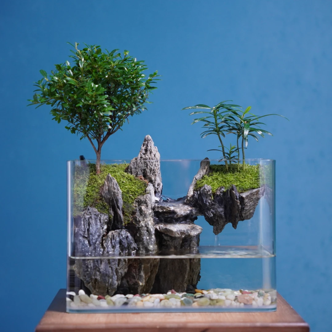 悬山-25方桌面景观真实绿植造景创意微景观组合生态瓶可养鱼