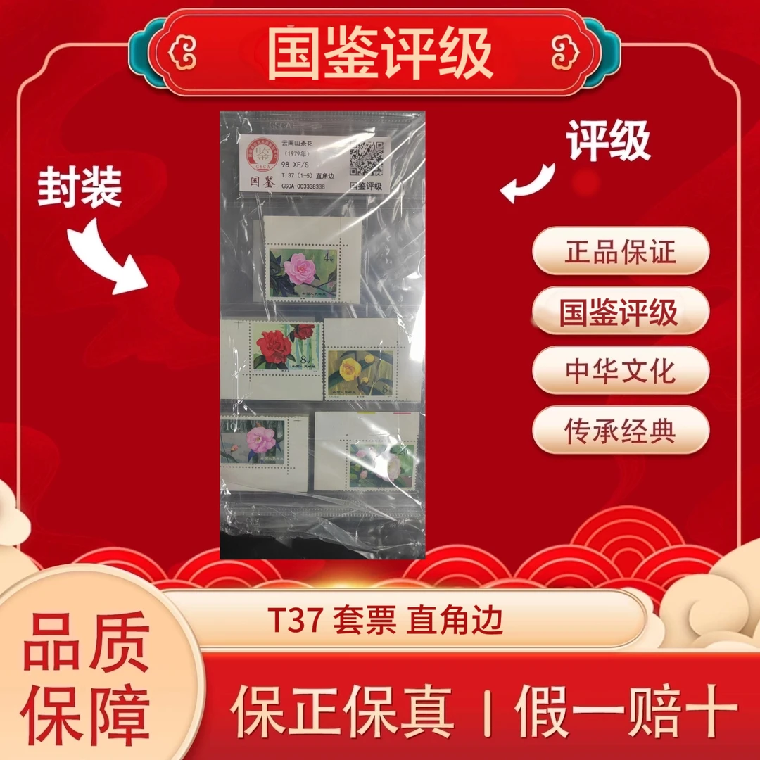 T37 1979 云南山茶花套票 A直角边 盒装 国鉴评级 98XF/S