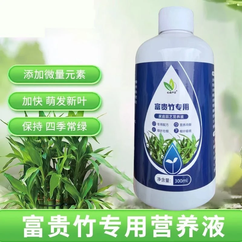 富贵竹专用营养液发财竹观音竹水培植物铜钱草富贵竹营养液