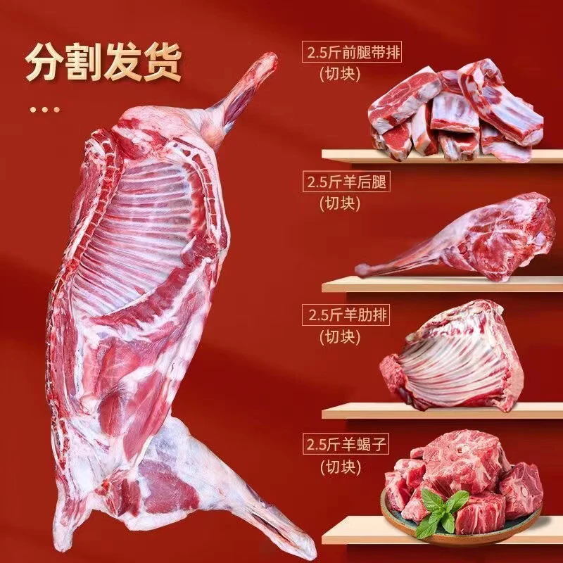 【主播专属】顺丰发货内蒙古羔羊半只羊分切10斤羊前后腿羊排羊蝎子