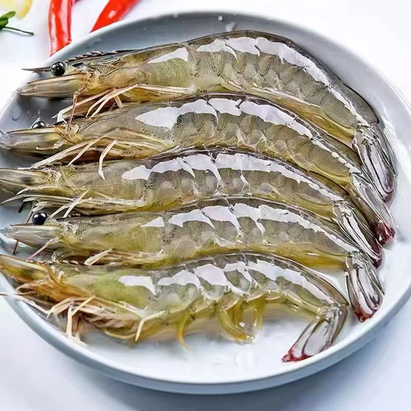 4斤装 码头现捕现发货新鲜冷冻大虾 20/30大规格水冻对虾海捕水产