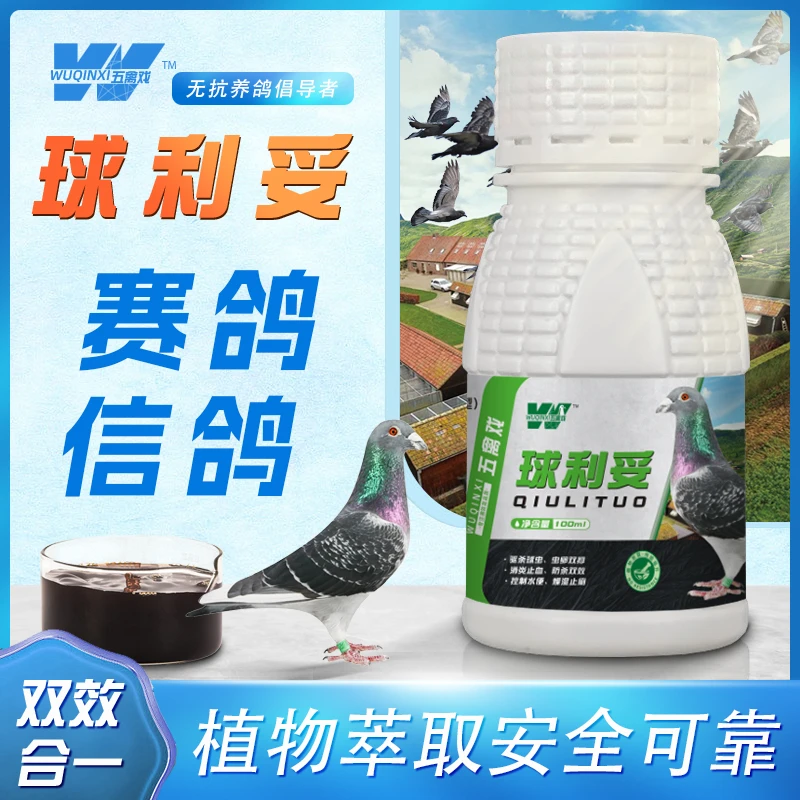 五禽戏球痢妥鸽球虫西红柿粪便咖啡色糖稀便修复肠粘膜鸽子驱球虫