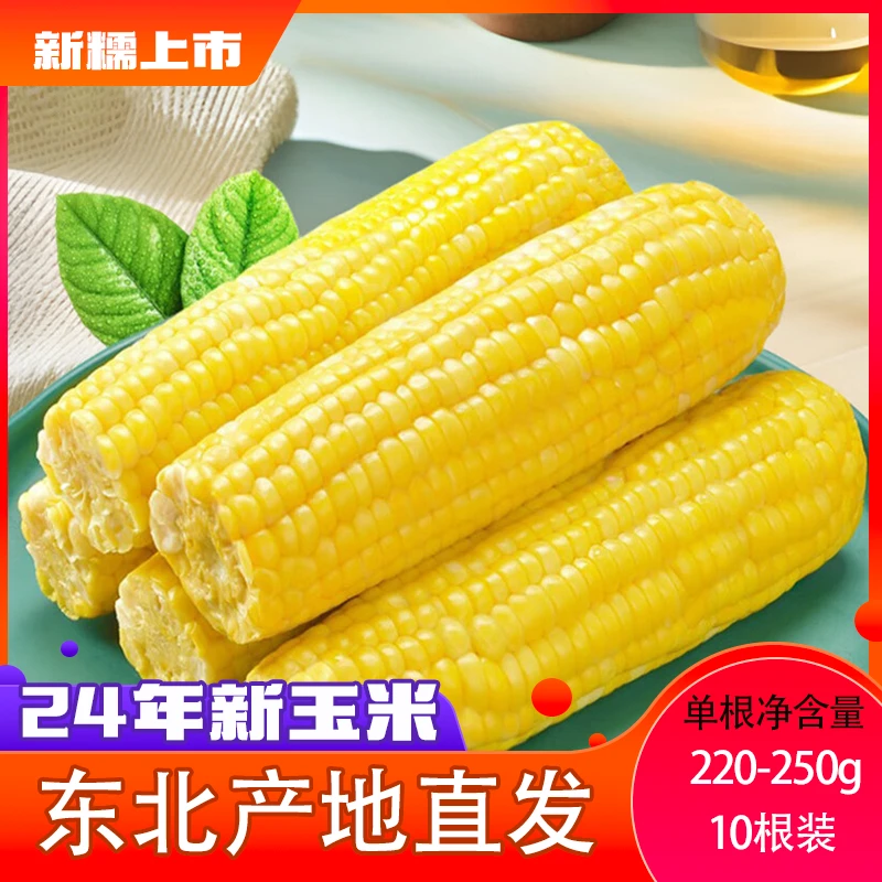 【24年头茬试吃2根】东北黄糯真空包装整箱10根香甜软糯代餐试吃1根