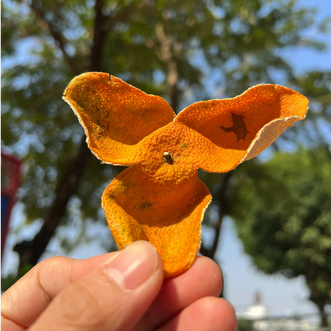 广东新会2024年梅江圈枝大红皮陈皮新皮/500g-1500g