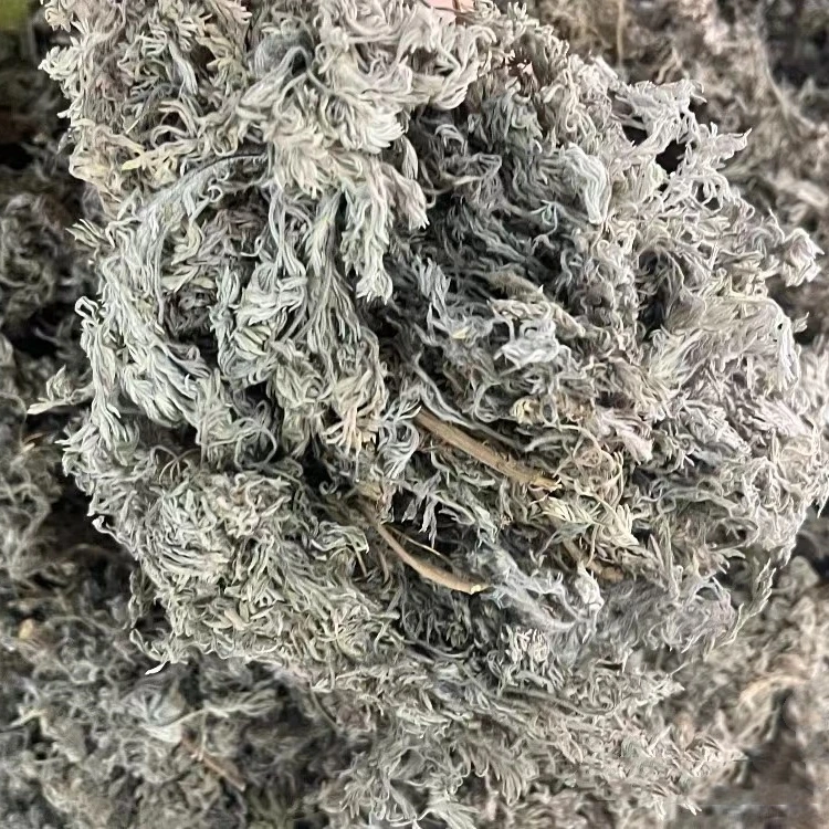 伊桦食养 精选 棉茵陈