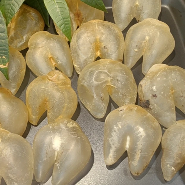 伊桦食养 靓鸡泡胶花胶50克