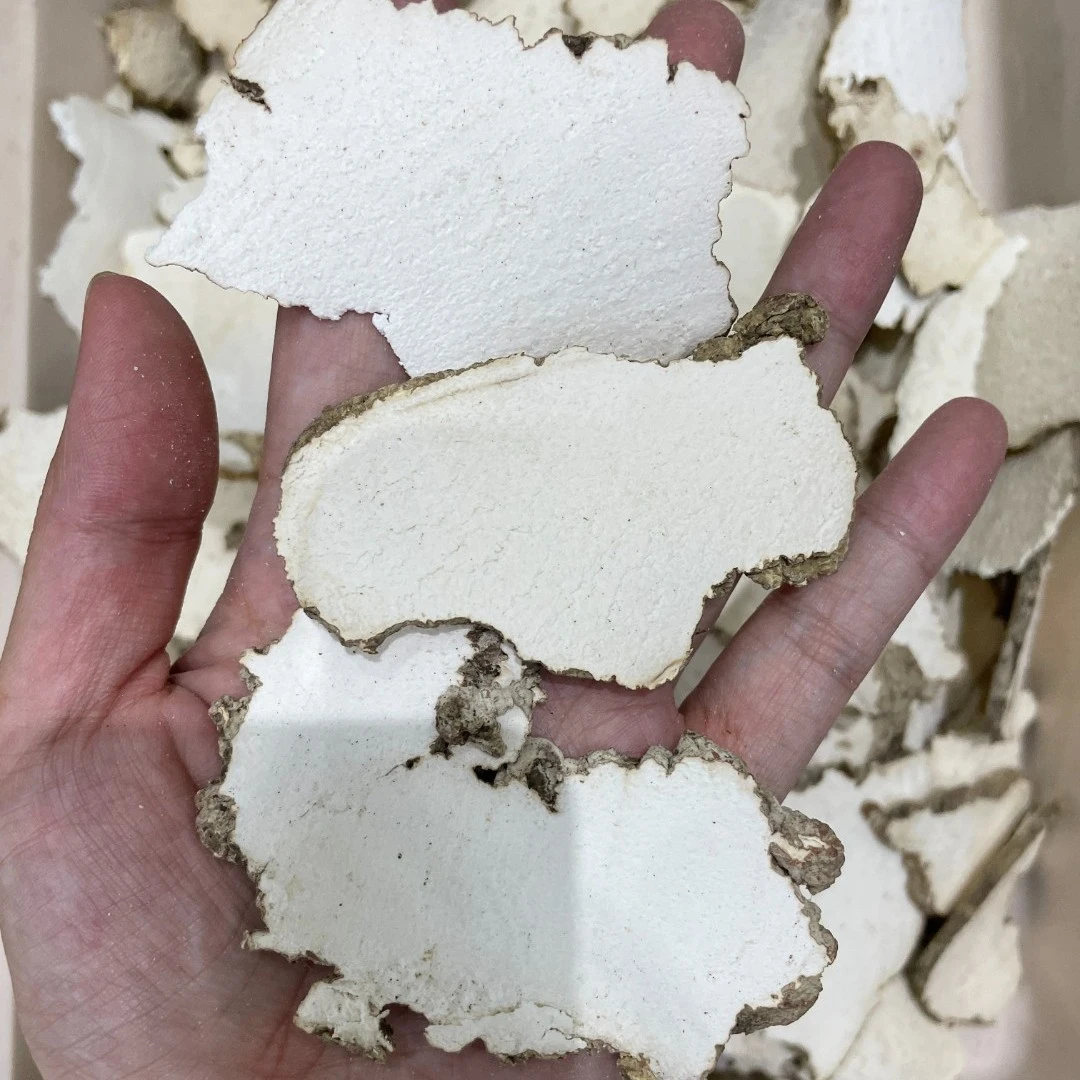 伊桦食养 琥奶菌片