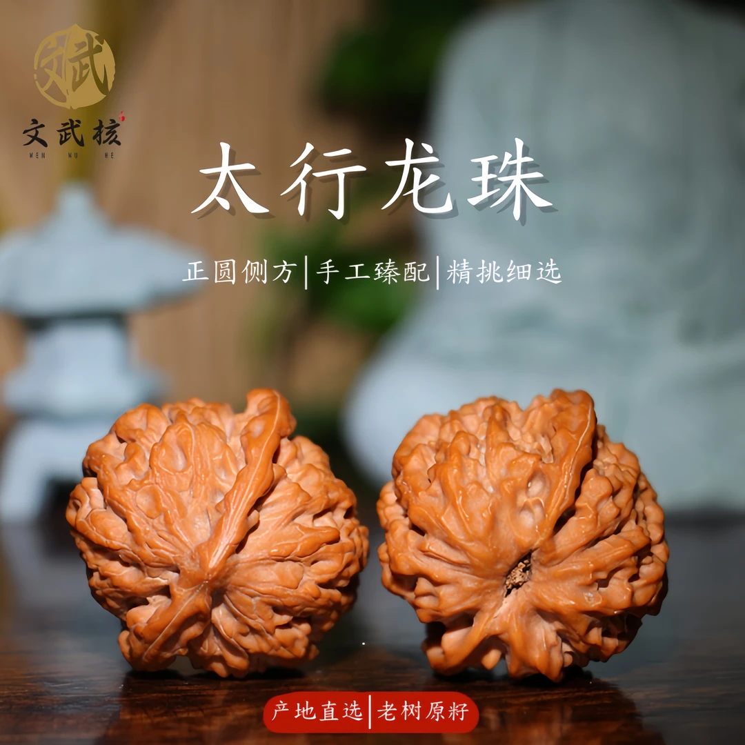 【文武核】全品野生太行龙珠（入门级）