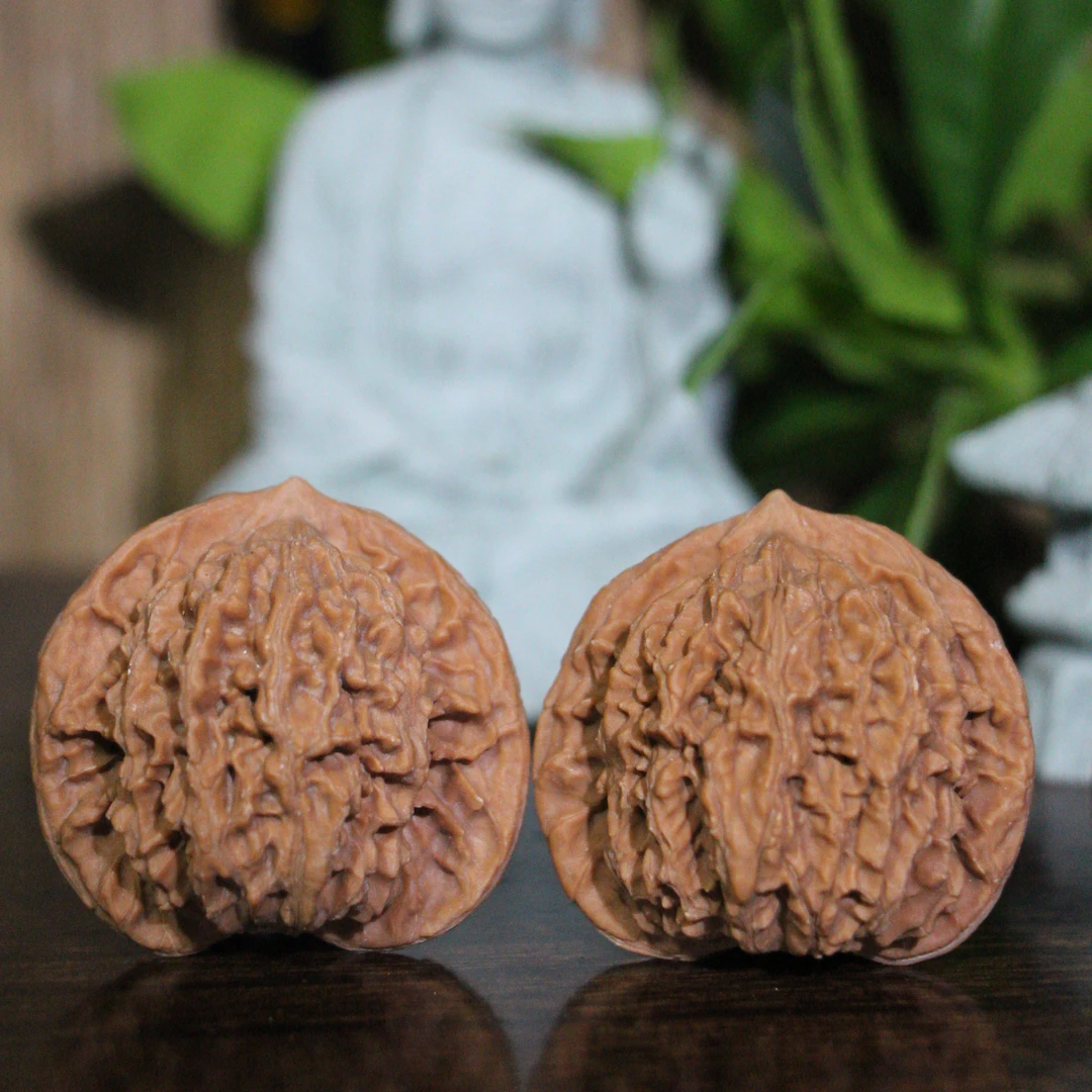 【文武核】老款盘龙纹狮子头文玩核桃（精品）