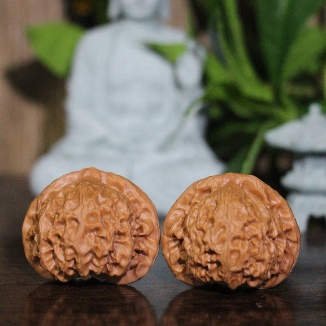 【文武核】内丘小帽（精品）