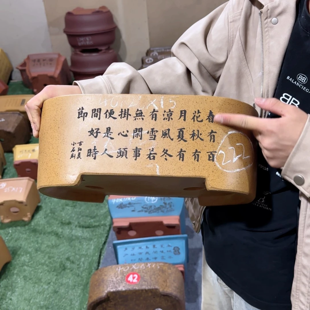 紫砂花盆呜呜呜呜呜
