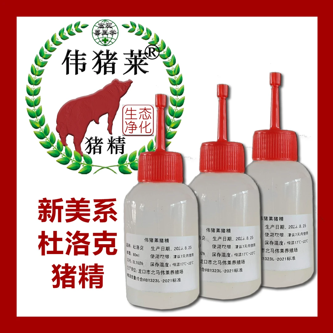 伟猪莱新美系杜洛克猪精 商品级 高品质高活力健康猪精